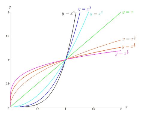 Image result for Examples of Power Functions