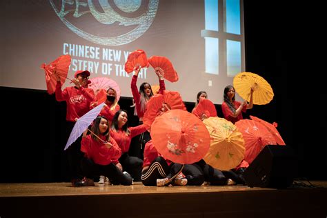 The Year of the Ox: How students are celebrating an untraditional Lunar ...