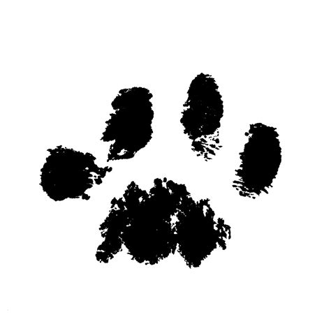 Free CAT PAW PRINTS, Download Free CAT PAW PRINTS png images, Free ...