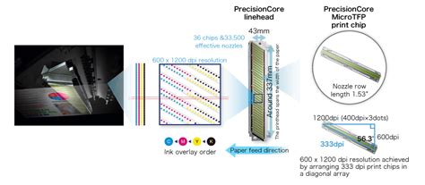 PrecisionCore lineheads | Technology | Epson