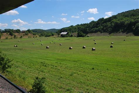 Image result for Spring Run PA