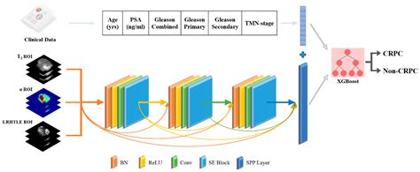 A Multiparametric MRI and Baseline-Clinical-Feature-Based Dense ...