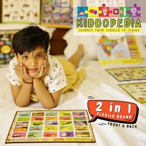 Buy KIDDOPEDIA Early Learning 4 Flexile Boards (2in1) Total 8 Topics ...
