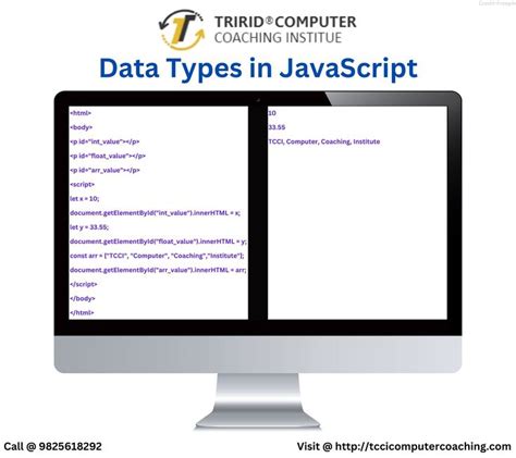 Double Data Type JavaScript 的图像结果