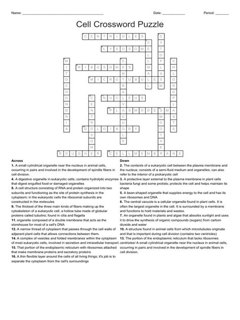 Cell Crossword Puzzle Answer Key | PDF | Cell (Biology) | Eukaryotes