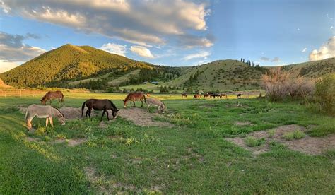 UPPER CANYON OUTFITTERS & GUEST RANCH (Alder) - Ranch Reviews & Photos ...
