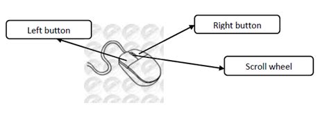 Image result for Computer Mouse Class 1