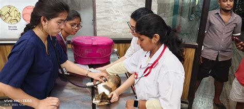 Mumbai Veterinary College - Facilites