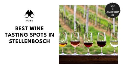 Taste Culture at the 10 Best Wine Tastings in Stellenbosch