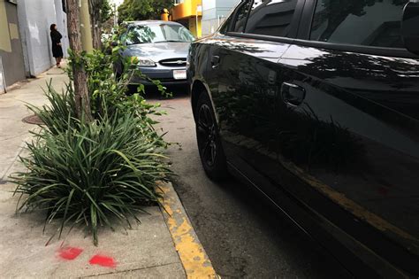 Can I Park Here? Your Handbook To Painted Curbs in California
