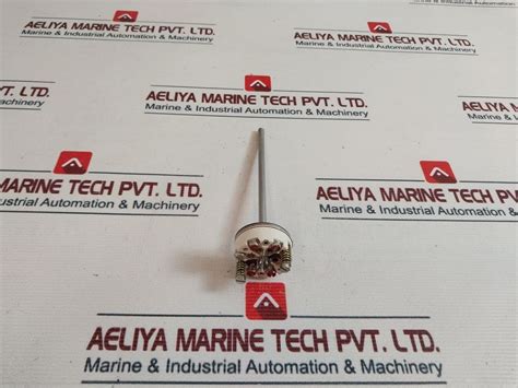 Jumo 2Xpt100 Rtd Sensor 400°C – Aeliya Marine Tech