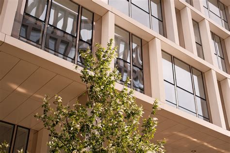 Building Glass Window 的图像结果