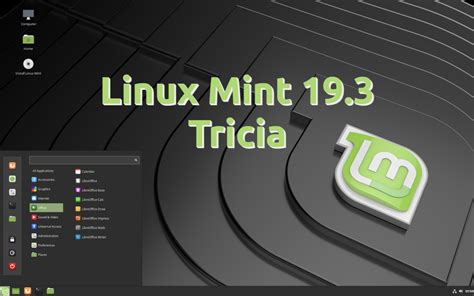 Linux Mint 19.3 ISO 的图像结果