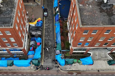 Number of International Protection applicants working ‘has increased ...