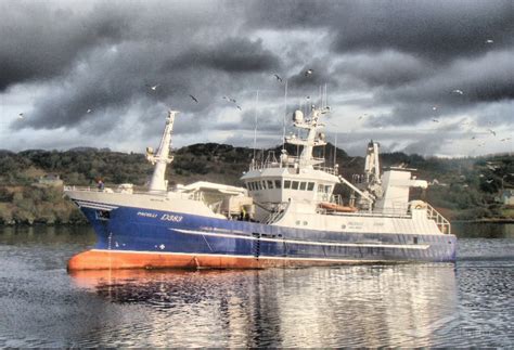 PACELLI, Fishing Vessel - Details and current position - IMO 9294446 ...
