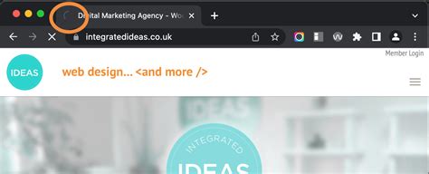 Browser Loading 的图像结果