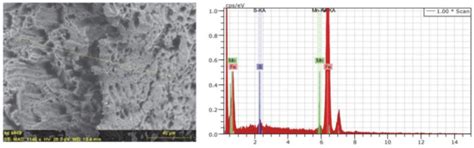Mechanical Behavior Evaluation of Tempcore and Hybrid Reinforcing Steel ...