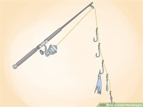 Image result for How to Catch Red Snapper