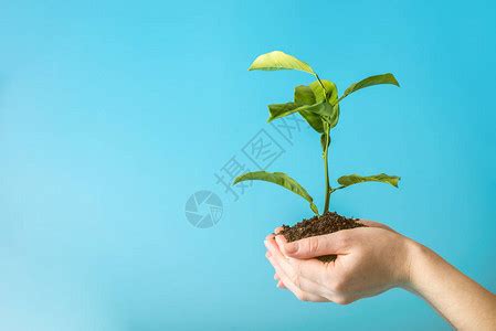 人类环境 的图像结果