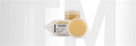 BAIRD PARKER AGAR PLATE – TM Media