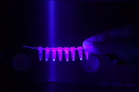 Lamp Technology 的图像结果