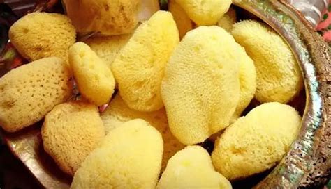 महिलाएं सैनिटरी पैड्स की जगह इन 5 चीजों का भी कर सकती हैं इस्तेमाल ...