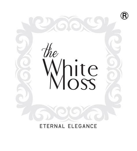 Solid Diwan Sets – The White Moss