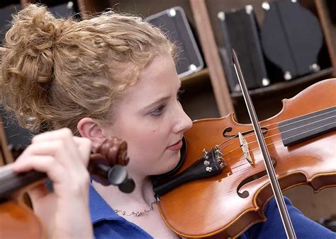 Image result for Orchestral Stringed Instruments