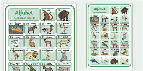 Afrikaanse Diere Alfabet | Afrikaans Alphabet Words - Twinkl