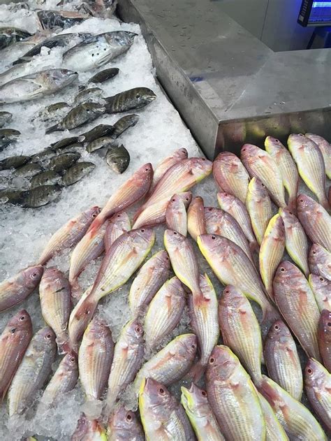 ORION SKYWINGS (Fort Kochi) - B&B Reviews, Photos, Rate Comparison ...