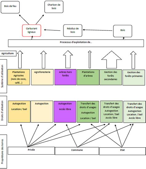 Options de Production pour le Bois-énergie - energypedia