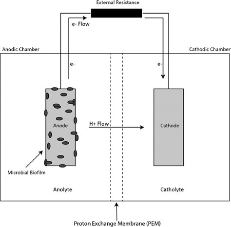 Image result for Microbial Fuel Cell Anode and Cathode