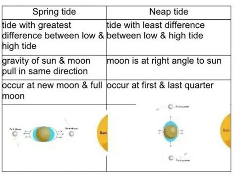 explain spring and neap tides? - Brainly.in