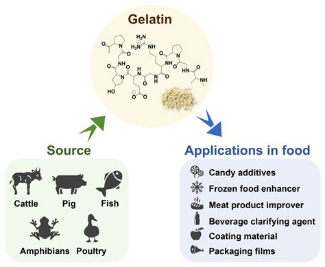 Functionalized Gelatin Electrospun Nanofibrous Membranes in Food ...