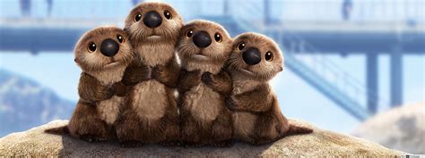 Seals In Finding Dory - 3840x1440 Wallpaper - teahub.io