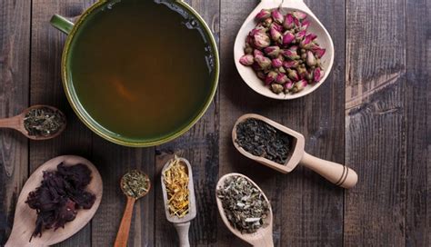 5 Teas To Help You Lose Weight - lifeberrys.com