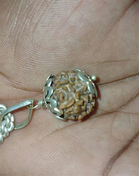 7 Mukhi Nepali Rudraksha - Saat Mukhi – Japam