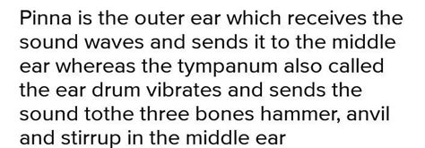 differentiate between pinna and tympanum - Brainly.in