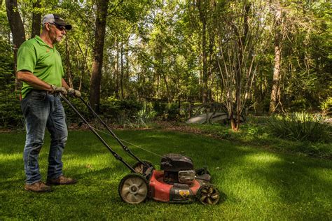 Image result for Landscape Contractor