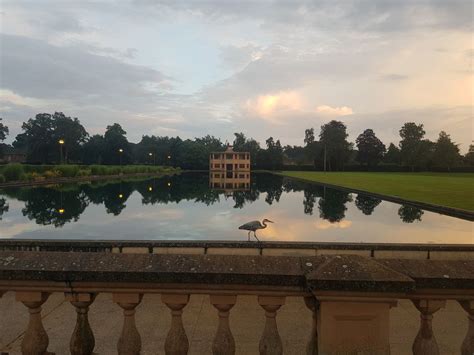 Nature Walk: Birds with Chris Durdin, Eaton Park Norwich, 22 May 2025 ...