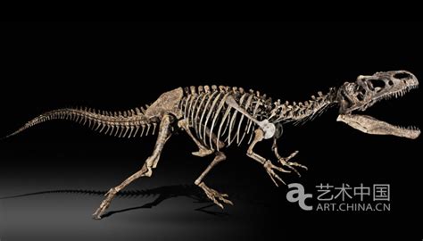 现代恐龙骨架组合3d模型下载-【集简空间】「每日更新」