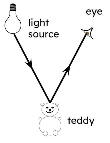 Image result for Light Reflection Poster KS2