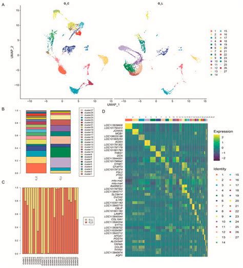 Cell Heterogeneity Analysis Revealed the Key Role of Fibroblasts in the ...