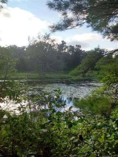 PINERY PROVINCIAL PARK (Grand Bend, Ontario) - Campground Reviews ...