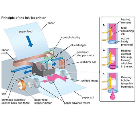 Inkjet Printing Wiki - Inkjet Printing Definition, Process ...