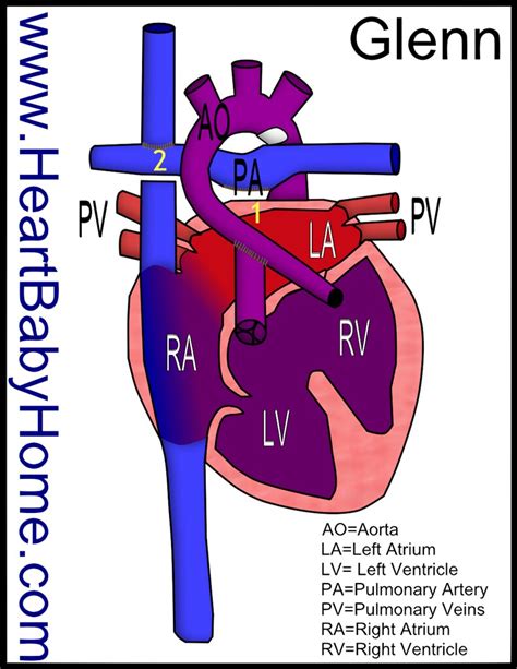 Procedure En Python 的图像结果
