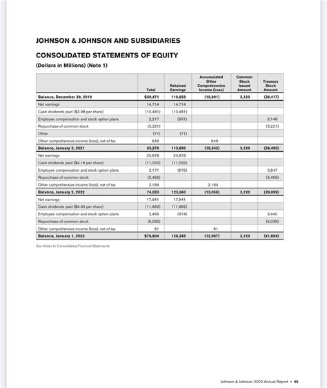 JOHNSON & JOHNSON AND SUBSIDIARIES CONSOLIDATED | Chegg.com