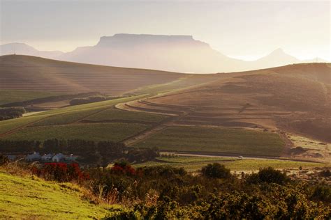 Sportsfield Durbanville South Africa 的图像结果