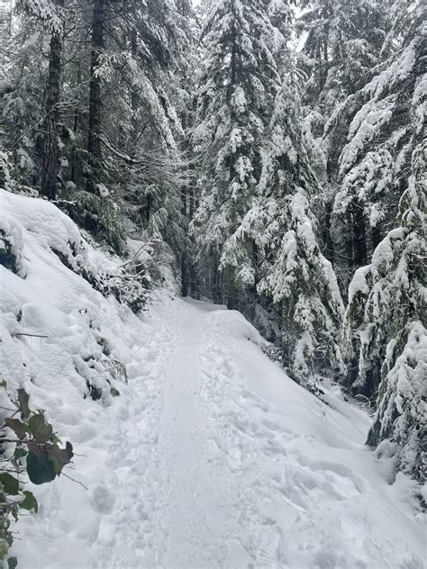 Wet and Sketchy Mt Si Hike - Social Hiker