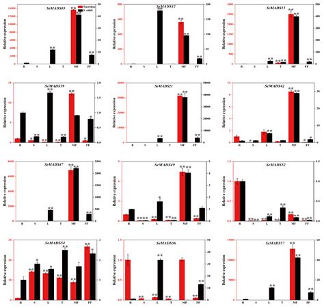 Genome-Wide Identification of the MADS-Box Gene Family during Male and ...